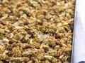 Granola