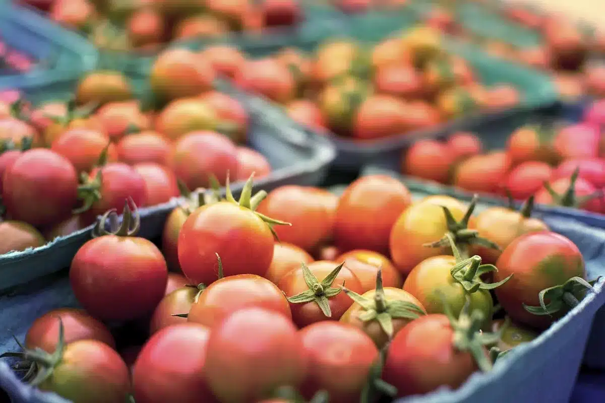 Bowl of tomato-forward dressing and small bowls of sugar and vinegar on a countertop