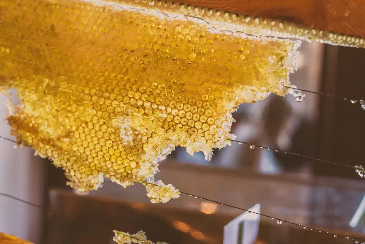 Hand stirring honey into warm water in a small saucepan to make honey syrup