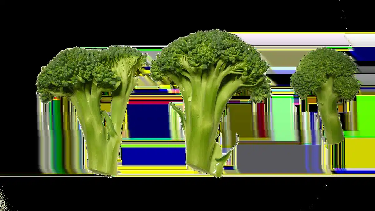 Bright green broccoli florets being blanched in a pot