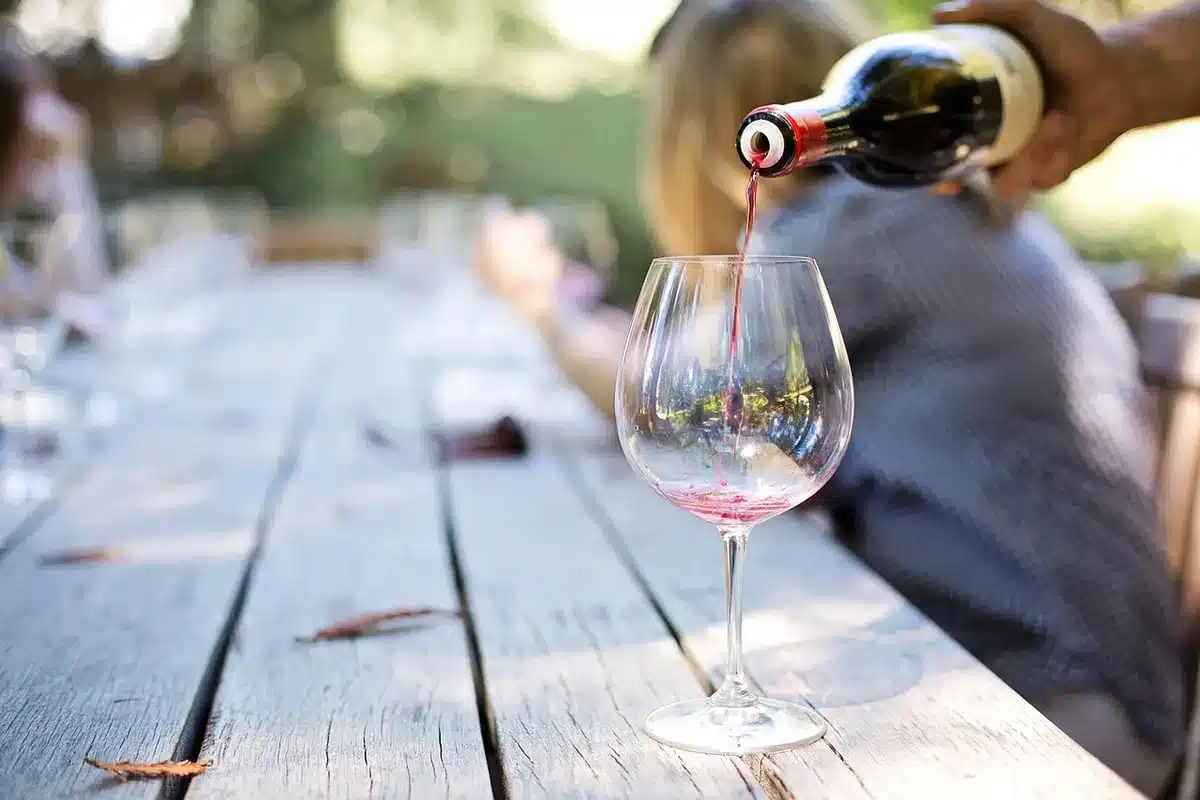 Deux bouteilles de vermouth côte à côte avec fiches de dégustation